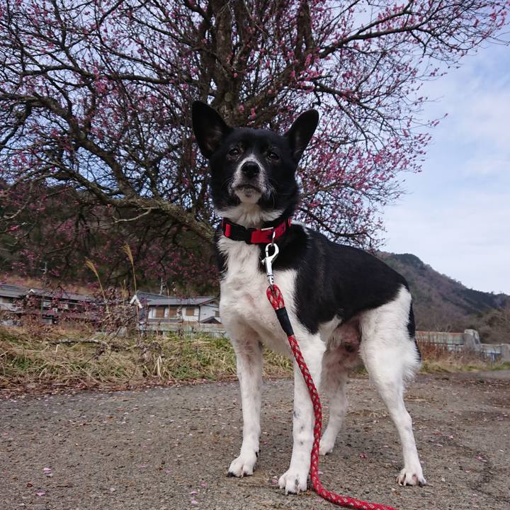 9b28a55c 9848 42ff 9f31 5bf5f20d76b4 1647996759720