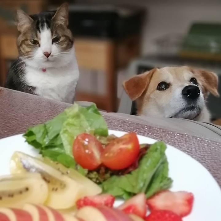 9b28bacf 40db 41df a7cf 6cee8da6c4c6 1589761817607