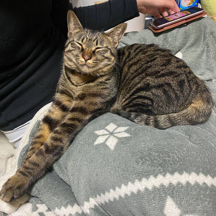 9b28c7c7 9ea4 4b02 a78f 9654659dbbe2 1578472480927