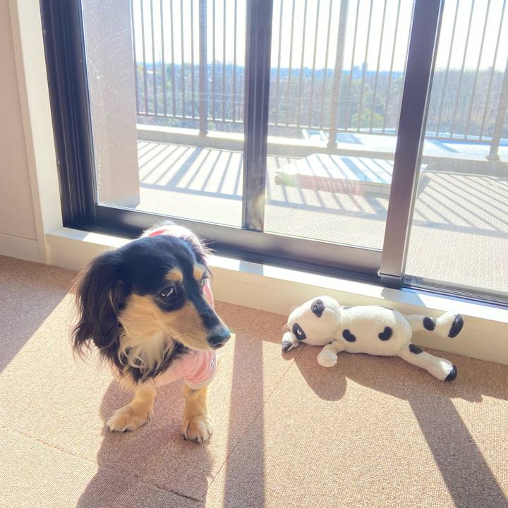 9b2907e8 76c8 4704 aa48 5e40305d1194 1707356314016