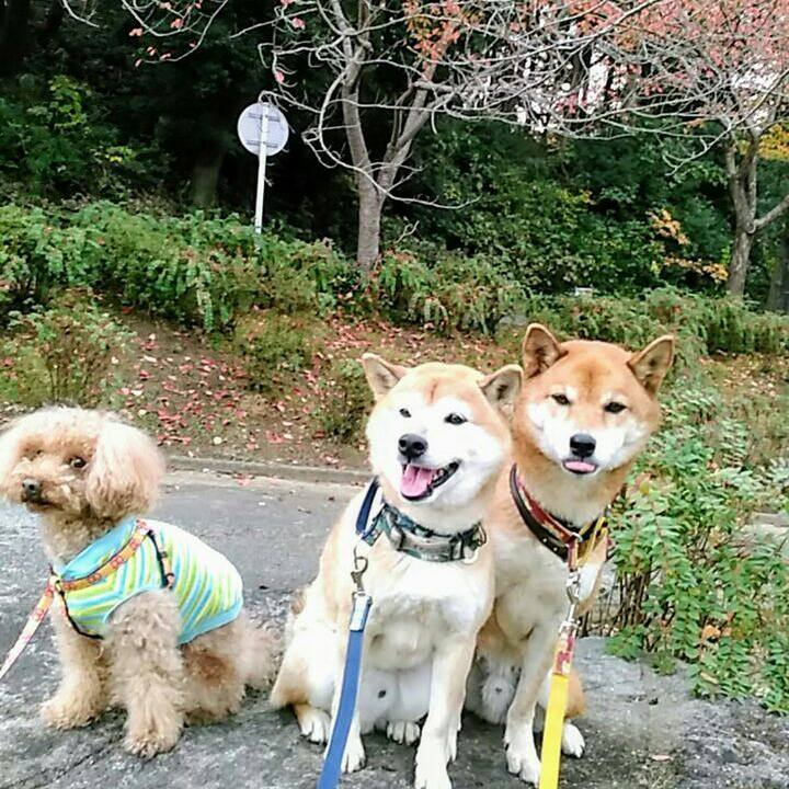 9b291980 dfef 431f 9f40 257b8e2f845c 1573719573940