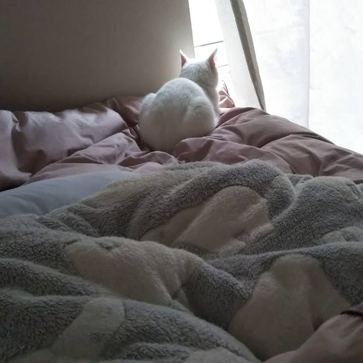 9b297589 7aea 4ed2 9f4f cac5bd9fdfa2 1648454854707