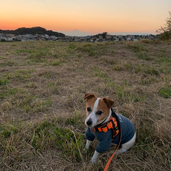 9b2985b5 8aba 4d46 97ee 87245ddd4c9f 1635409596883