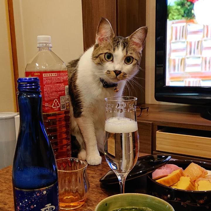 9b29aa25 296f 4a21 a158 1a32a6c26b4c 1578628376214