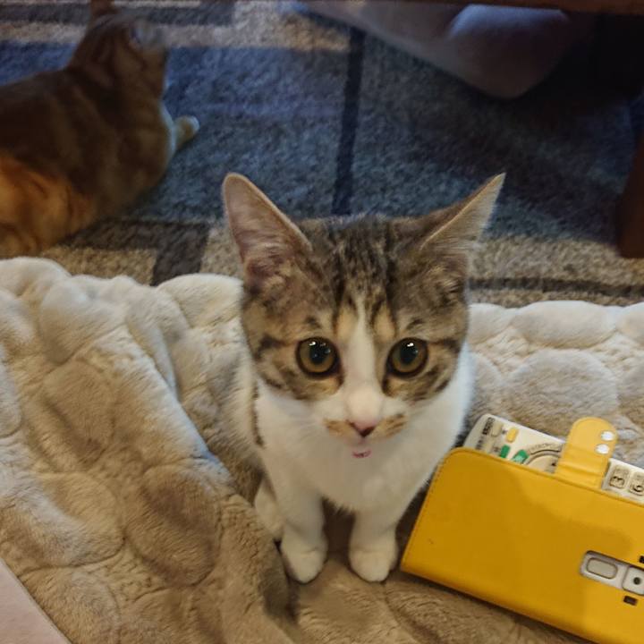 9b29bf49 30d8 4756 ab59 568589bc9870 1548411681772