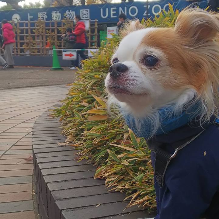 9b29ef8a 3ed4 4637 acdb e98eb8acca9c 1608365897937