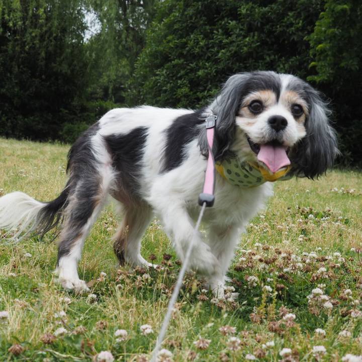 9b2a58a1 052b 452a 929f 53cbc005fe38 1559482468095