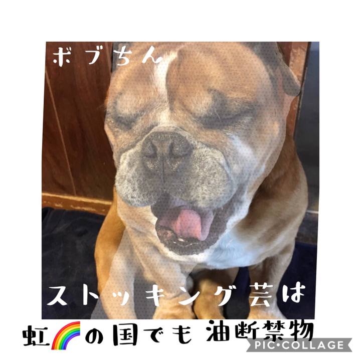 9b2a5b19 965a 4877 a76f 1668ce772f92 1568029286142