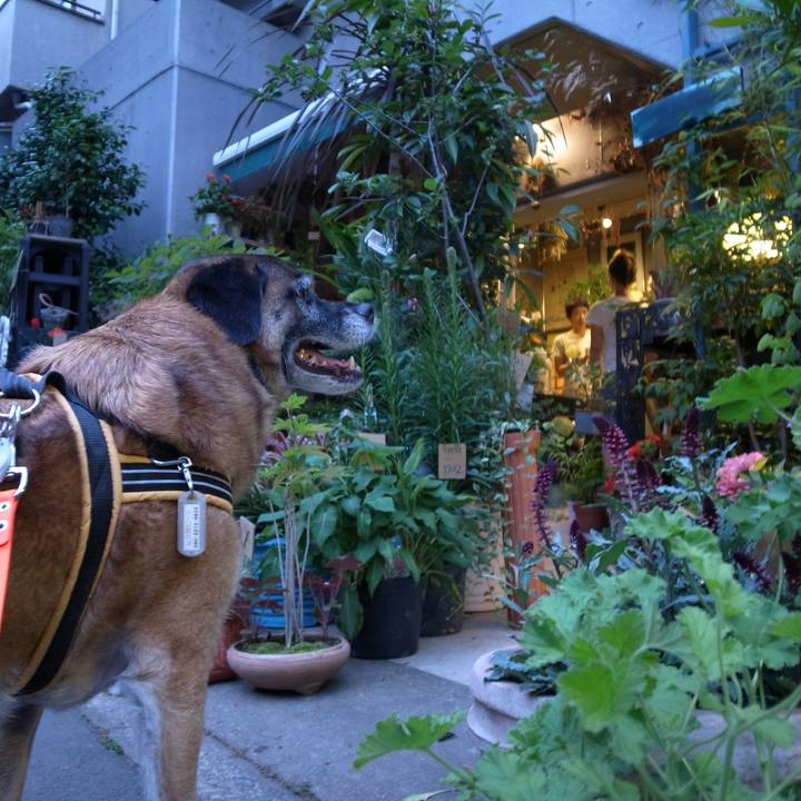 9b2a7a2f 1c55 49b6 8854 d0a873a94344 1582324833919