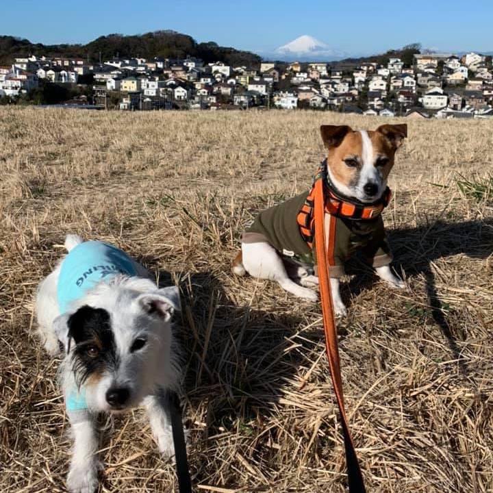 9b2a7db1 6eee 4419 9d9d c698f8fbc146 1675078339734