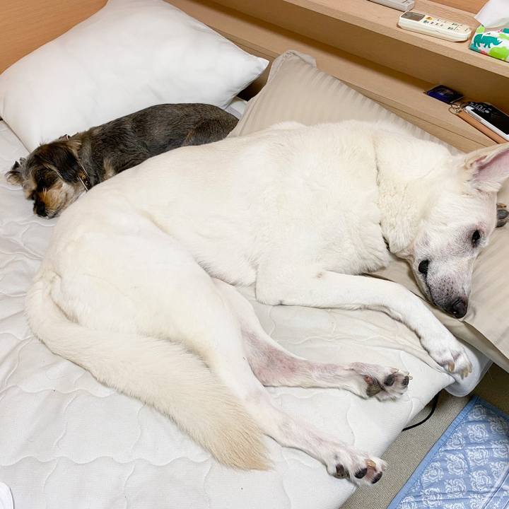 9b2a8ad1 686a 414a a53f fb36ed344d58 1592366701452