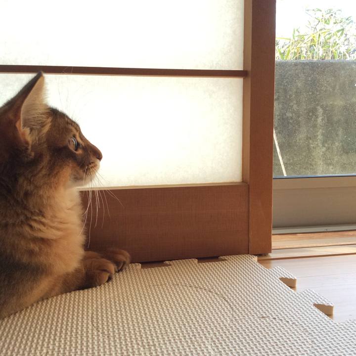 9b2aca71 b197 4905 b3b5 09c6dbae575f 1581205389871