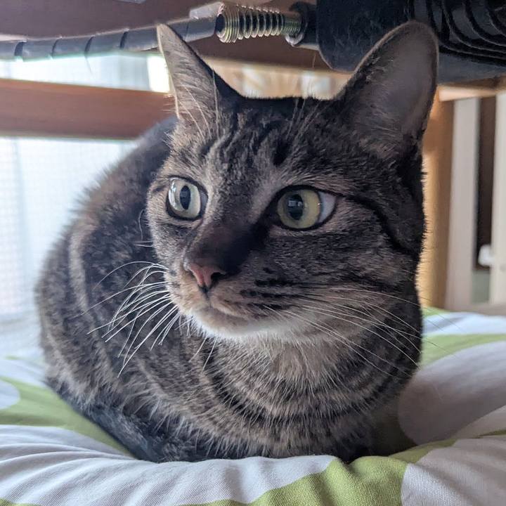 9b2b1fd3 0264 4f11 b462 5ecb240547ef 1747282907191