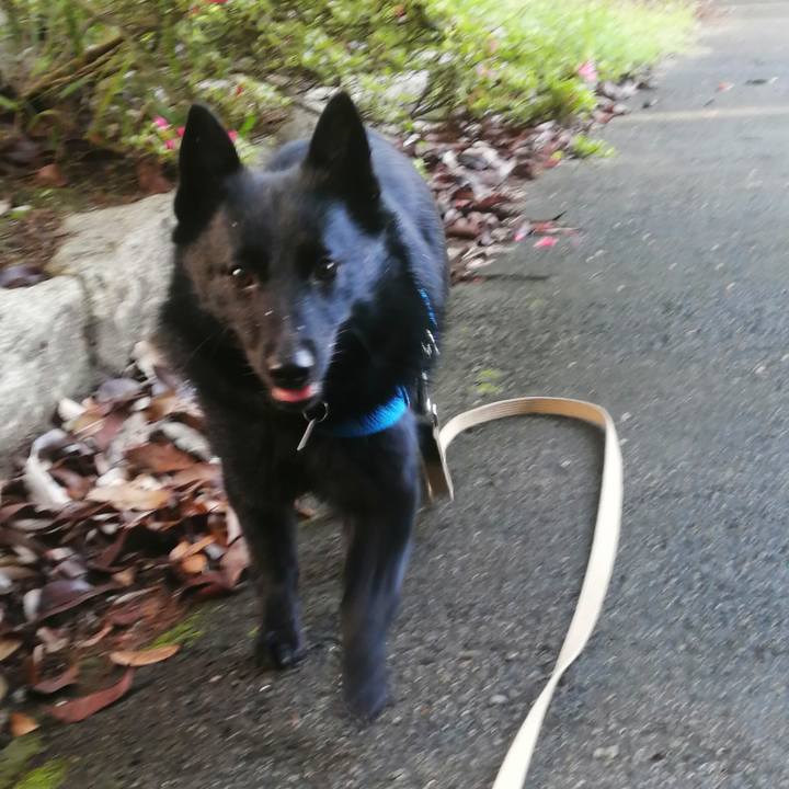 9b2b20c3 5641 4bea 9aec b7e44c9d4450 1621890530243