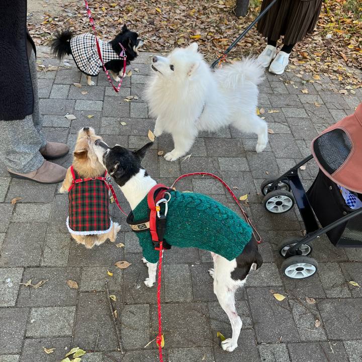 9b2b3e46 2401 4aa7 ac2f 9857f503d5a6 1638068738502