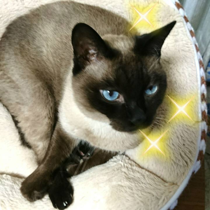 9b2b570f 9cf7 4ead 82bf f1b5a69ac972 1525785522541