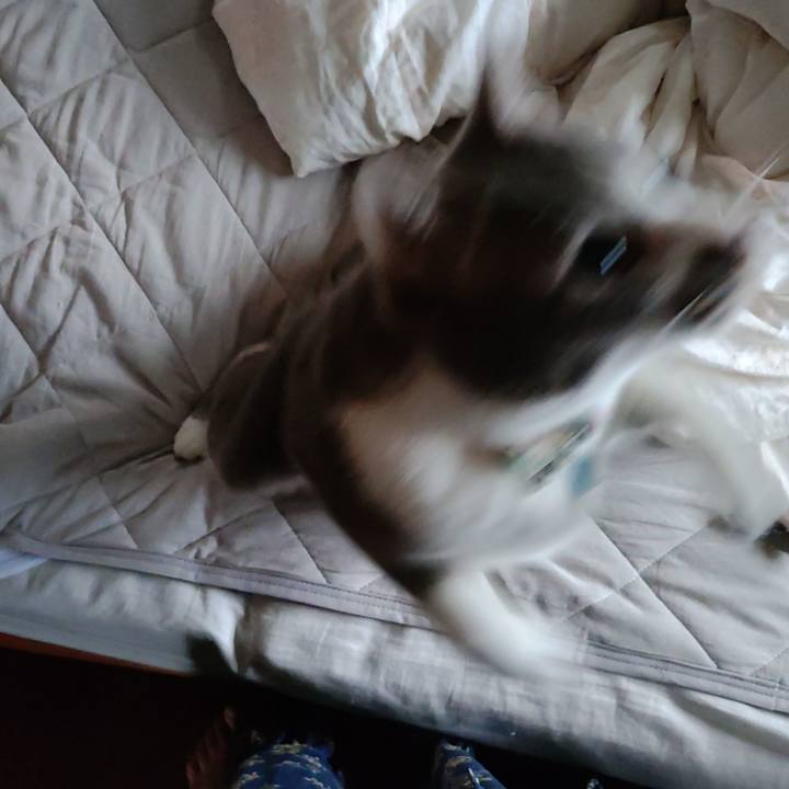 9b2b62b9 7cf9 43ab a957 dae2f8ee5d8b 1686784680690