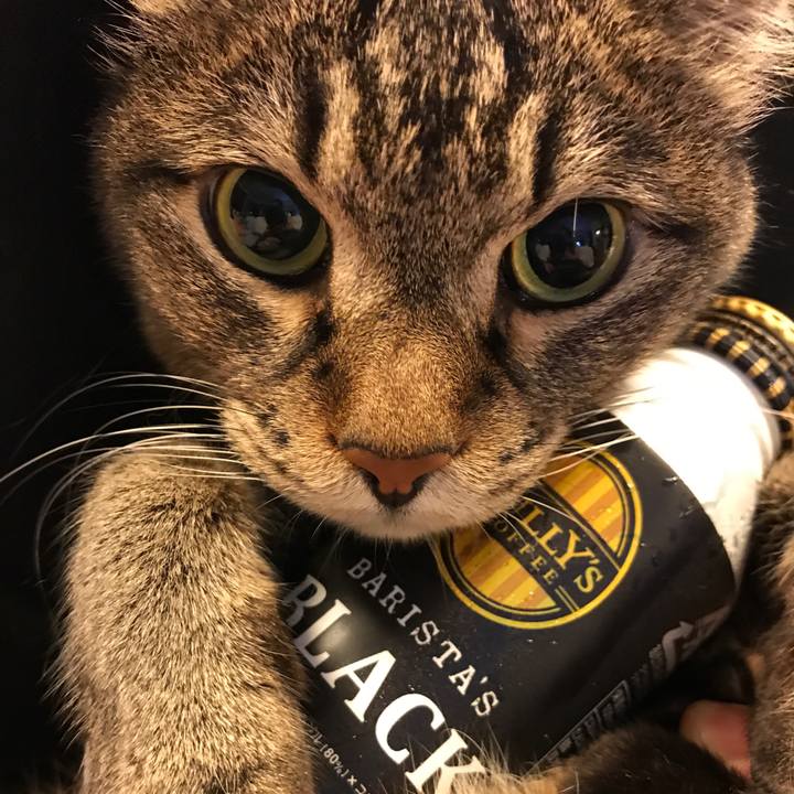 9b2b67f8 1665 419f a0e0 6e4947486945 1530393268005