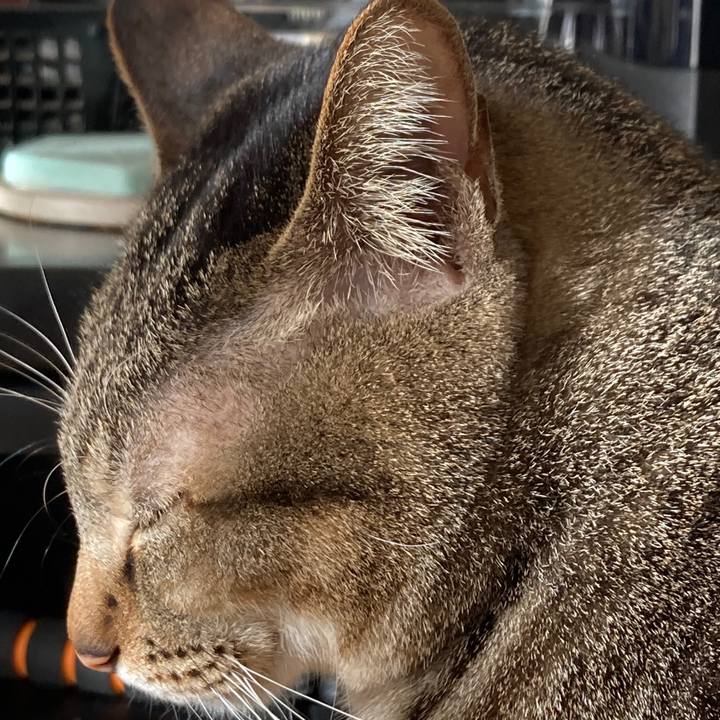 9b2b6a13 6811 4609 84d0 be6cee09c1ba 1770936086892