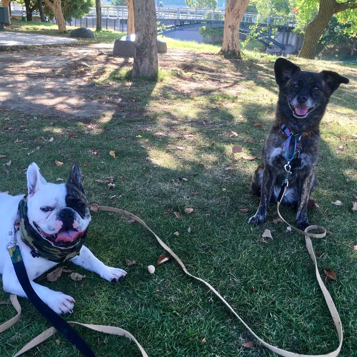 9b2bb47d 3c4f 41ee 8439 90716d007878 1533821471964