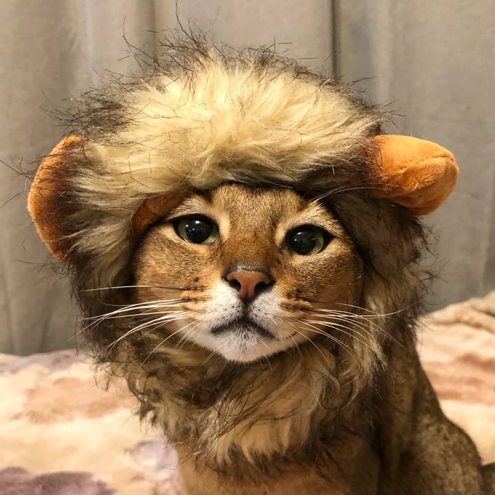 9b2bb60d 9a93 4368 8bd5 39293752188a 1764064654778