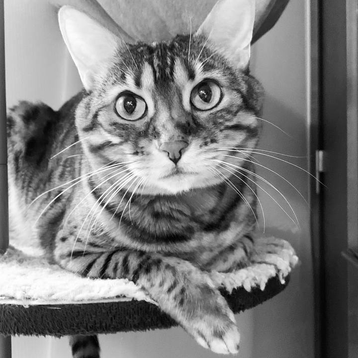 9b2bbbb7 c3ee 4870 806c 9943887e135d 1620870221213