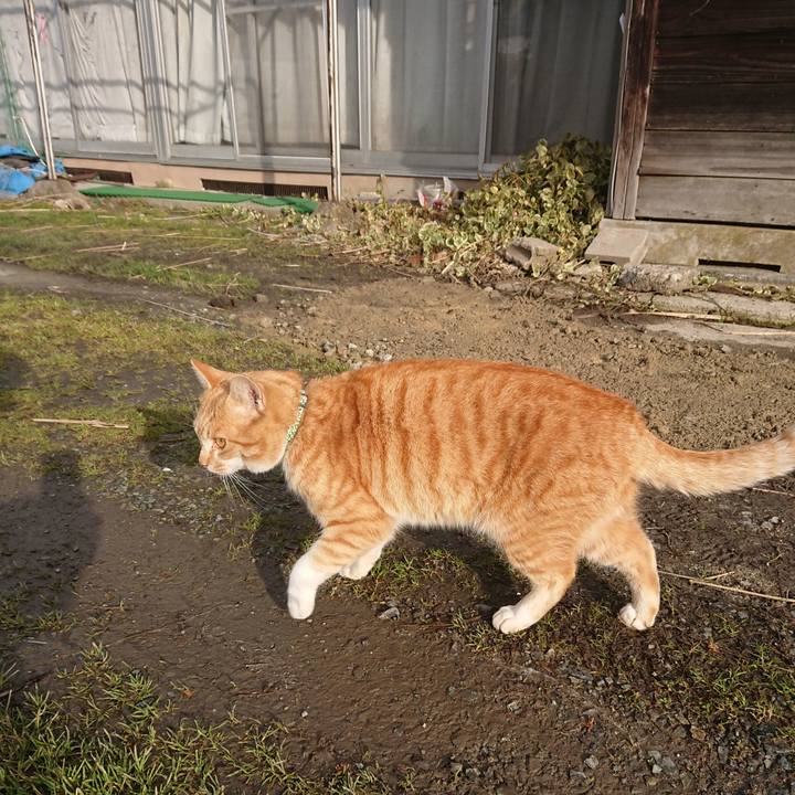 9b2bd7a5 a7e3 4891 821a 238f27b76d14 1583627233306