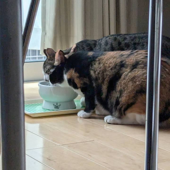 9b2bf1ab 34e4 48f8 b574 0caa6a555b08 1726963887306