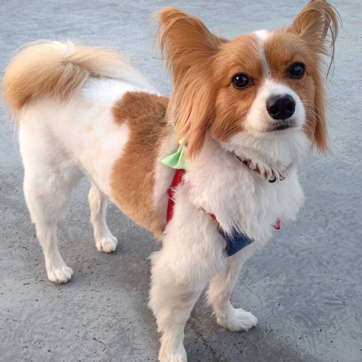 9b2c03a3 a0f4 4a08 8fcc bb8923e755ec 1684315481954