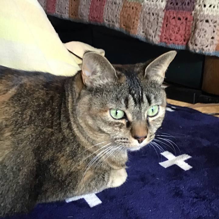 9b2c31bc 6343 4e41 a4a2 1f3f73147d65 1706523603618