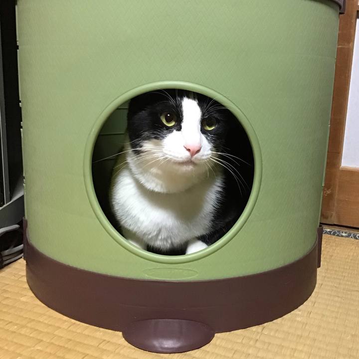 9b2c33f2 fbe1 4ac8 957c 16f0903b81fa 1683554394357