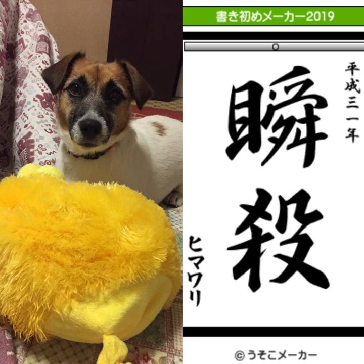 9b2c483c 8cfa 43a3 8748 eedc2d3a679d 1546331141681