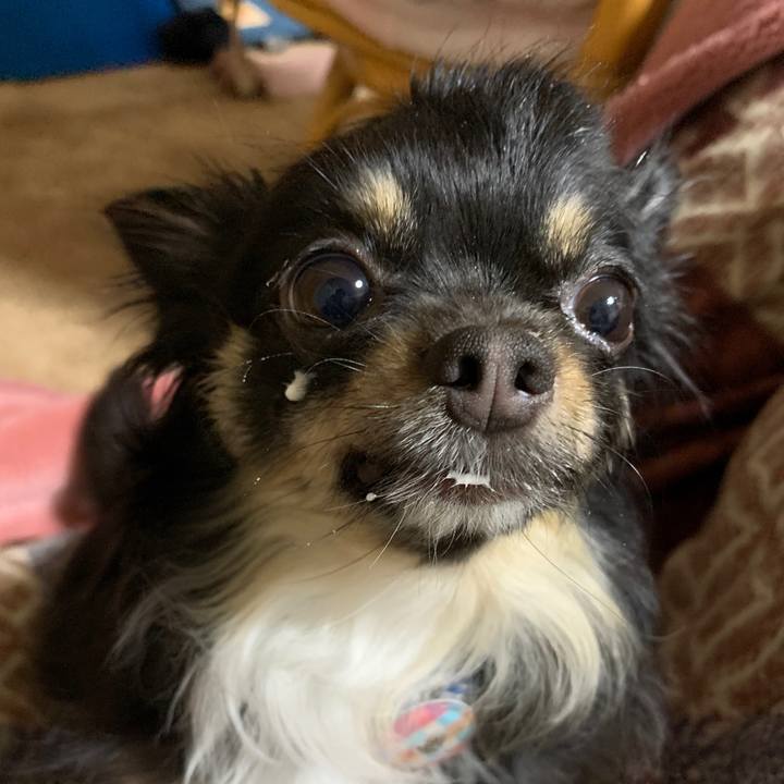 9b2c48f6 6f29 405d 90d6 7260a6dd0b95 1578086593116