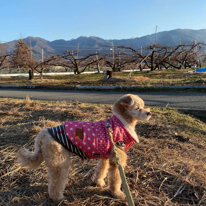 9b2c5d94 8013 4338 a262 253505bbfb5d 1578041330314