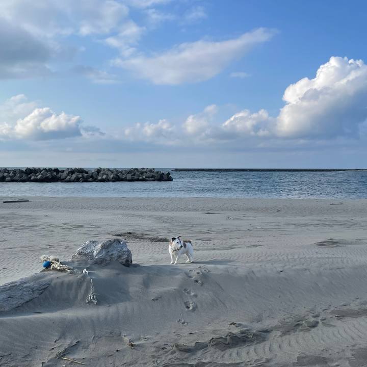 9b2c70dc 8ee5 4ae3 b974 14521253fd81 1744067930724