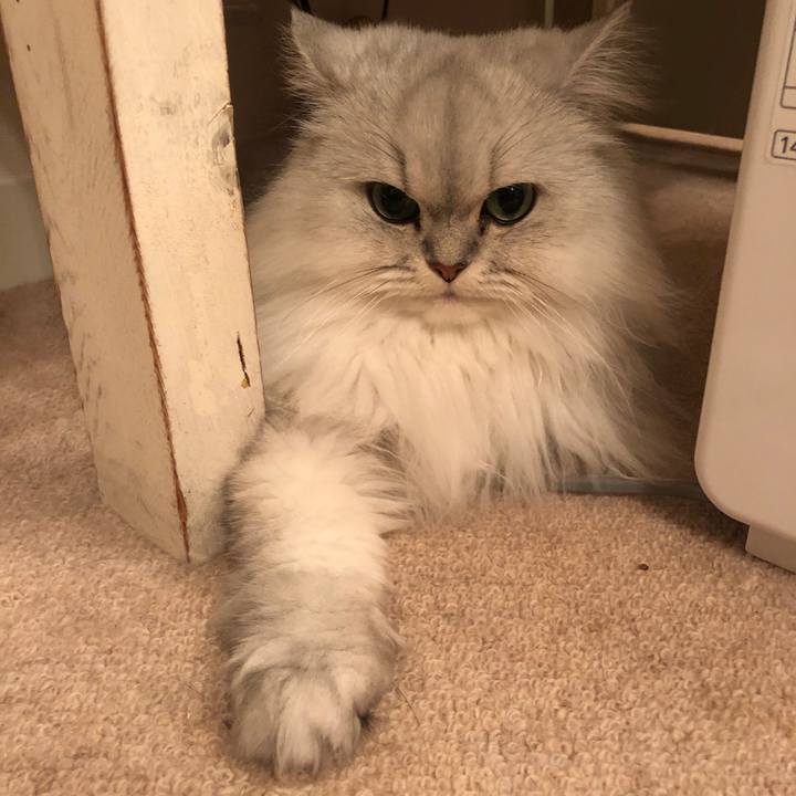 9b2c9506 c066 4905 bc25 1cdbc747bcc4 1542956459714