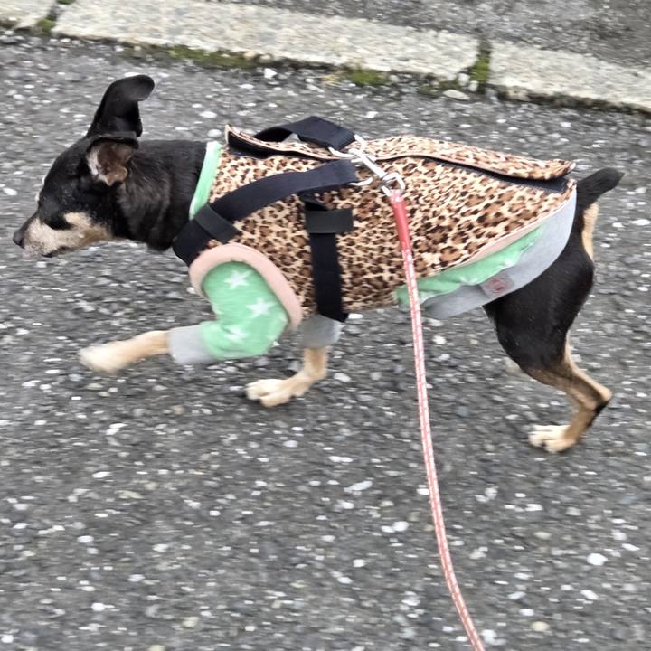 9b2ca3f8 4697 4060 9d72 e936fa7cd13d 1762743032164