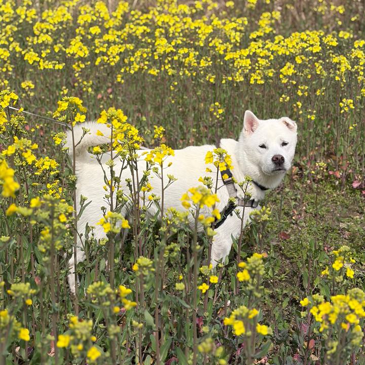 9b2ca94e 6f49 4333 b8c0 d59c0c366c61 1772941024355