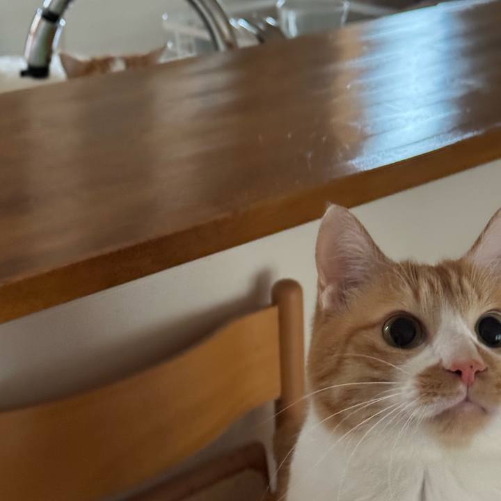 9b2ccd1c e9c6 468d 9086 b7cbcc197f10 1767753118057