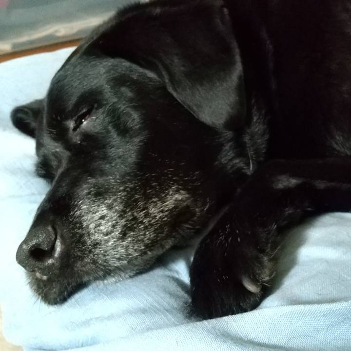 9b2cd74f 4349 4375 b101 38de3f08aa4f 1691804012003