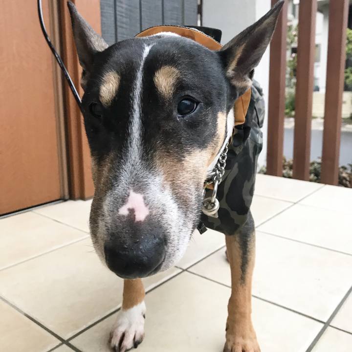 9b2d1743 8c4b 4d60 8624 2144fd0b594c 1520588187585