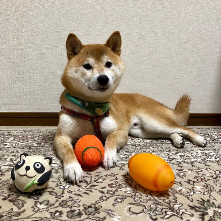 9b2d1921 bd66 4866 af4a 03843ce0ad94 1532937462158