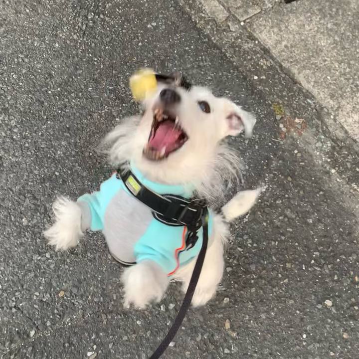 9b2d35d1 8d89 40f3 b4db 867d88e5a42c 1667979870113