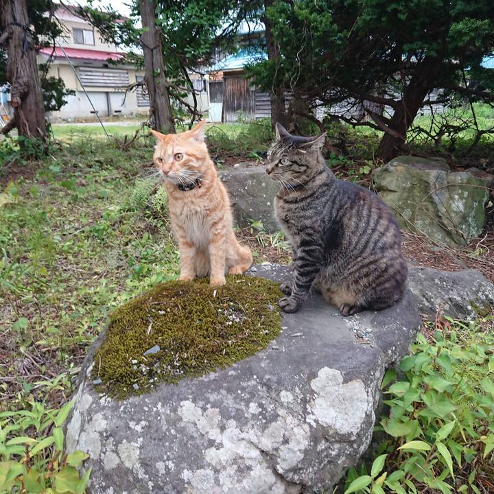 9b2d3832 38de 4a35 873f ffbb057da488 1658135141527