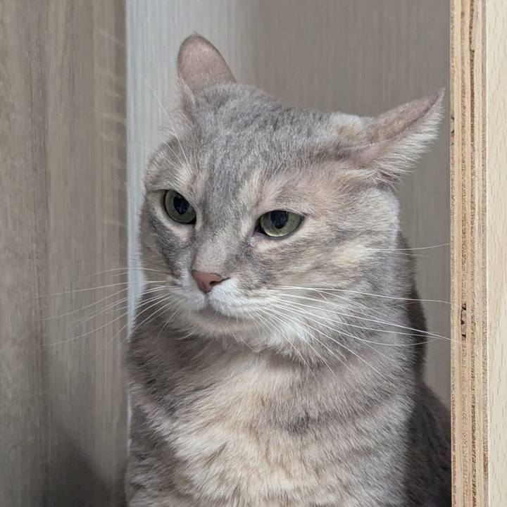 9b2d501b 42d7 48dd 8c7d 475a23ef2115 1738035698165