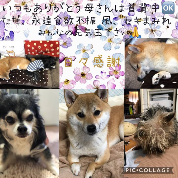 9b2d6bf9 9556 43e0 a02f 07e28f17ba82 1551669775392