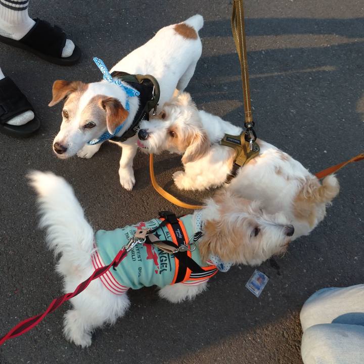 9b2db245 4874 42a1 9233 240207ac269b 1755903507456