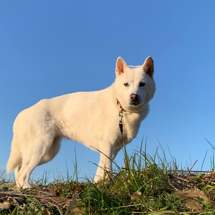 9b2de8dd 54c1 43d6 9393 2c04114f5c16 1579390127952