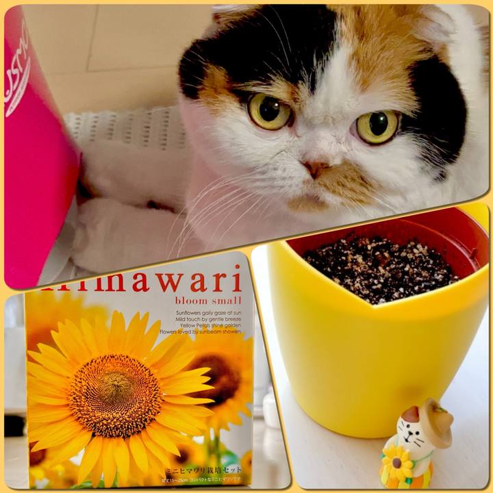 9b2e0b7e 17ec 48e9 ba48 ad521cf093b6 1716341068680