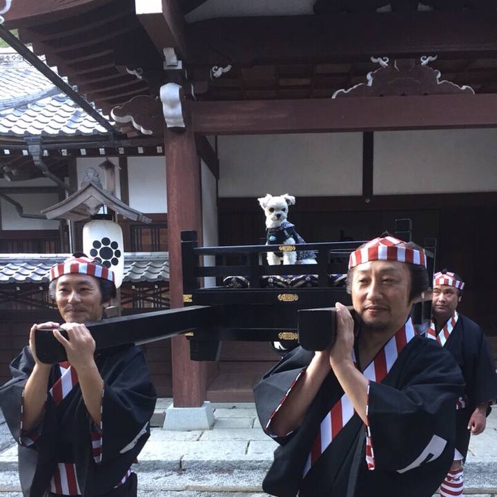 9b2e161c 5de9 4d4b 8a7b 9dd1b9076a67 1558328635900